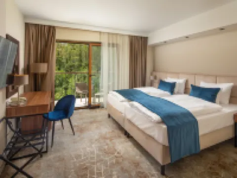 Fagus Hotel Conference & Spa Superior Hotels in Sopron