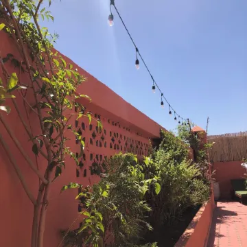 Riad Imndi