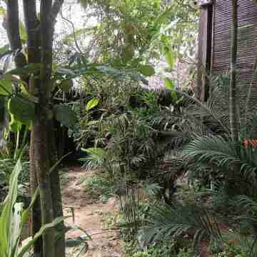 La Plage Hotel Hotel Exterior