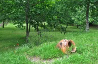 Room-Paradise is Real at Vale Martinho R Hotels in Vimieiro
