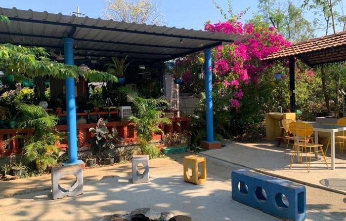 Wilderness Jungle Camp
