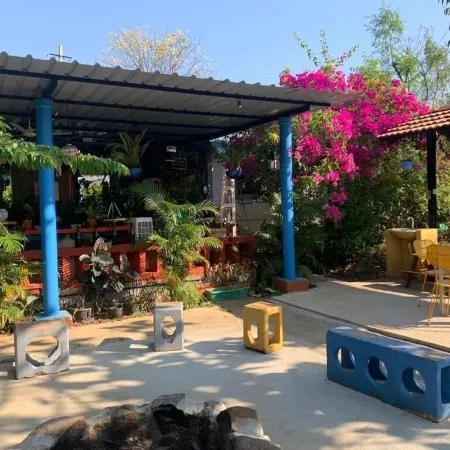 Wilderness Jungle Camp