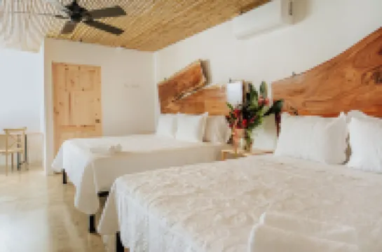 Bonding Coffee Roaster Café & Hotel