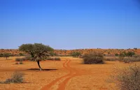 Auob Country Lodge - parking