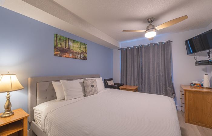 One Hotel Room with King Bed & AC