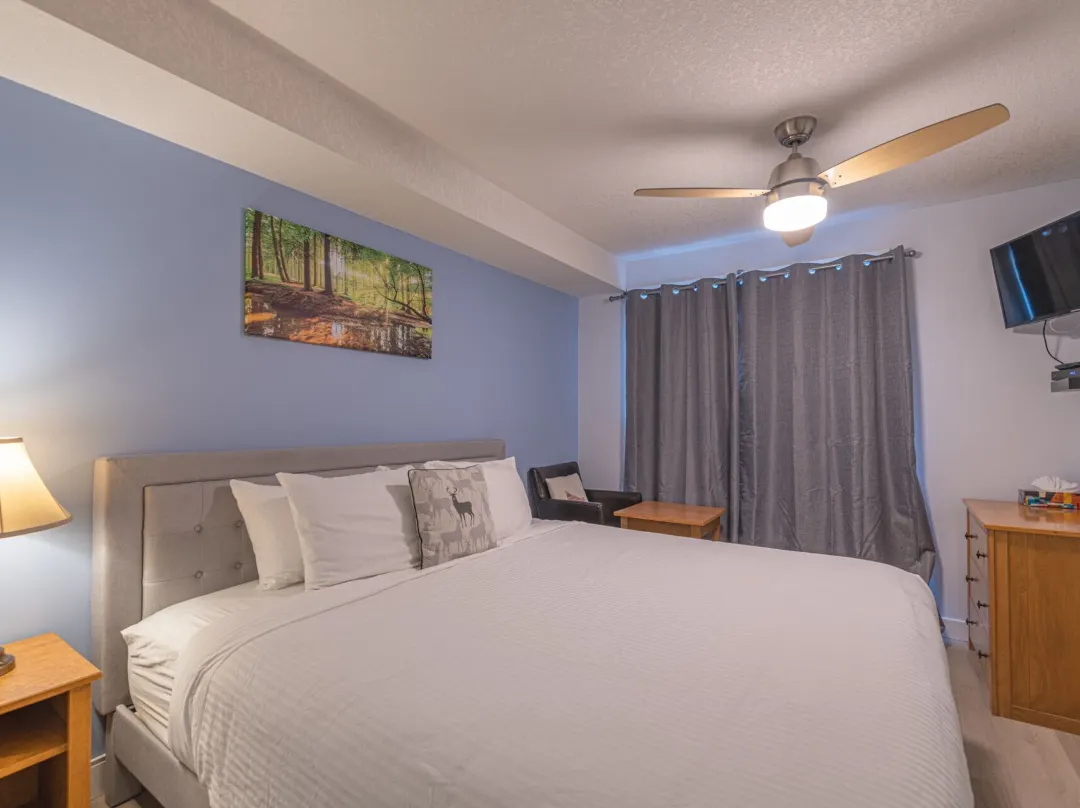 One Hotel Room With King Bed & Ac - Canmore