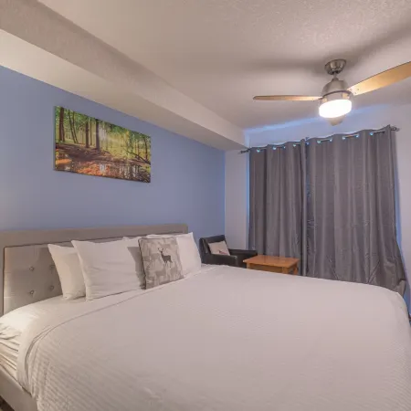 One Hotel Room with King Bed & AC