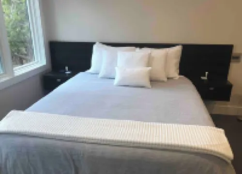 Cozy Modern Cabin wt Pool, Hot Tub, Fire pit and Goats, Alpacas, Chickens & Emus