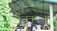 Cortland Jungle Resort