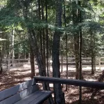 Cozy Guest Cabin Near River, Lake, And Hiking Access.