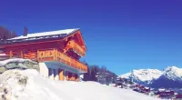 FAMILY CHALET, NEW, QUIET, VIEW, BETWEEN NENDAZ AND SIVIEZ, HEART OF 4 VALLEYS Nendaz (4 Valleys)附近的飯店