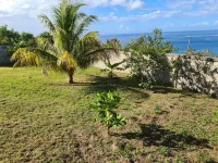 Elaine's Ocean View Dwelling Hotels near Mero beach