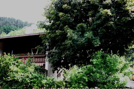 Quiet in the center: apartments The ideal basis for outdoor activities