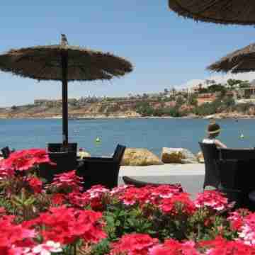 Large 3 Bedroom Property Overlooking Pool at Las Ramblas Golf. Terrace, Wifi, TV Others