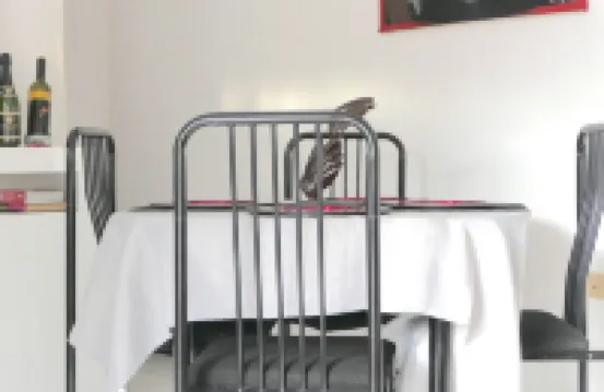 Beach Castles Apartment at  Sandcastles