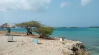 NAUTILUS INN HOUSE BEACH, MANGEL HALTO, ARUBA