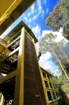 Borneo Tropical Rainforest Resort Hotel di Miri