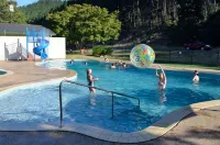 Porepunkah Pines Holiday Park - Pool