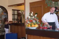 Villa Gaia Hotel - بار