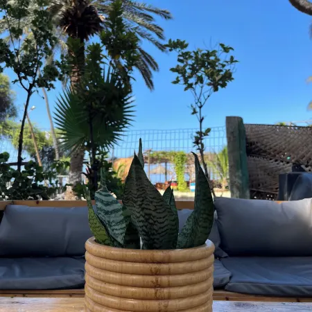 Baia Verde Resort Tarrafal