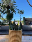 Baia Verde Resort Tarrafal Hotels in Tarrafal