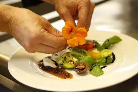 Landhotel am Rothenberg Отели в г. Хардегзен