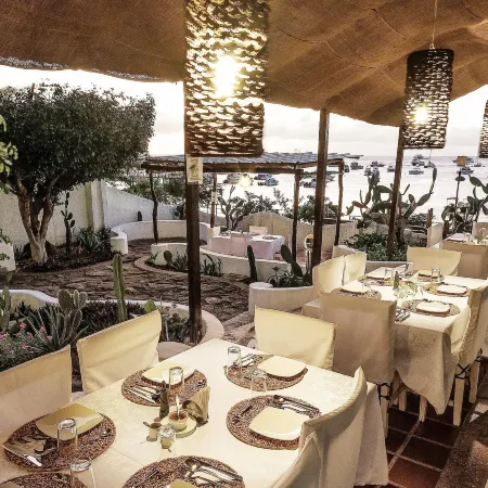 Casa Opuntia