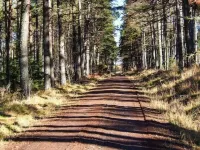 Pine Lodge Hotels in Dingwall