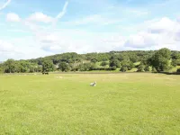 Rowtor Hotels in Winster