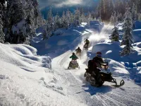 Algonquin Motel Hotels in Machar