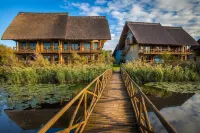 Green Village Resort - Kolam Renang