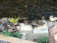 Kevock Vale Park Hotels in Lasswade