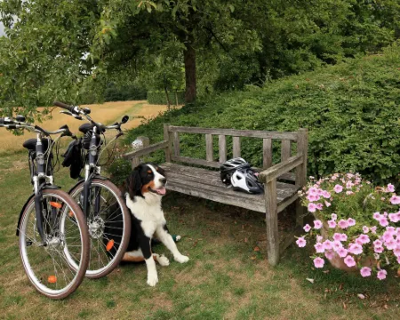 La Petite Bruyere de Renaix Hotels in Ronse