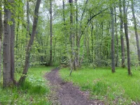 Peaceful haven with garden and parking in Chantilly Các khách sạn ở Gouvieux