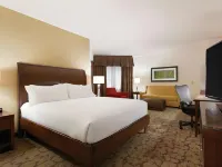 Hilton Garden Inn Rochester-Downtown Các khách sạn ở Rochester