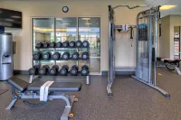 Hampton Inn & Suites Rochester/Henrietta - gimnasio