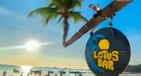 Lotus Hostel Beach Bar Koh Tao