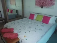 Lovely Villa Rose des cayes in Saint Barthélémy with parking and private pool