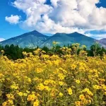 Spacious 4-bedroom house. Super quiet. close to snowbowl. Hour from Grand Canyon