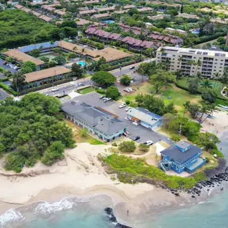 Tracy's Tropical Treasures earned "Best in Kihei" four times and 1 in Maui”