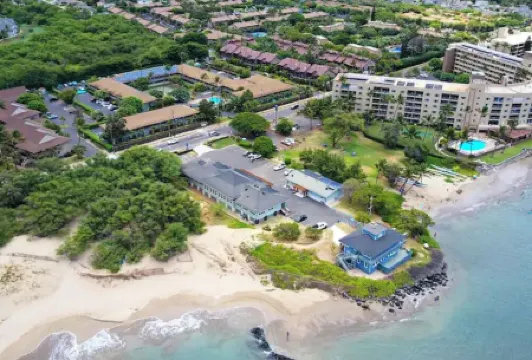 Tracy's Tropical Treasures earned "Best in Kihei" four times and 1 in Maui”