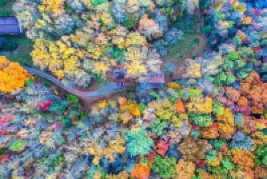 3-bedroom chalet in cool Black Mountain with WiFi, AC. Close to Asheville