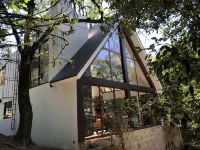 Prettiest House in Xiltla walking distance to  Edward James surrealistic  Castle Hotels in Xilitla