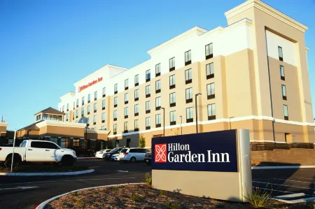 Hilton Garden Inn San Antonio/Live Oak Отели в г. Лайв Ок