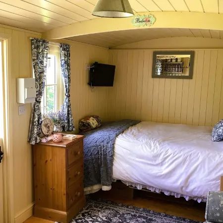 Lilly's Pad