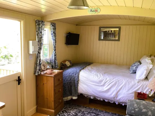 Lilly's Pad