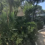 SEA View Apartment With 2 Pools Fully Equipped 4PP By Myrentalhost Hotels near Cala de Sant Francesc