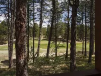 Chalet-Style Retreat on the Green, Close to Bike Trails - Sleeps 8-12