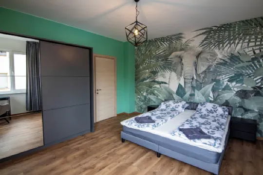 Jungle apartment in the center + Free Parking