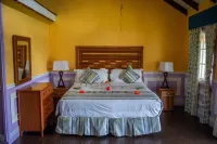 Tropical Affair – Superior Deluxe Room Hotels in 